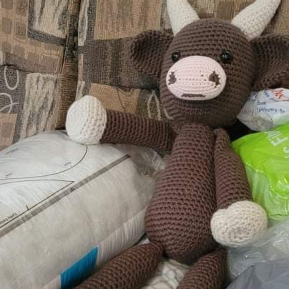 Cows - Picture 2 of 2